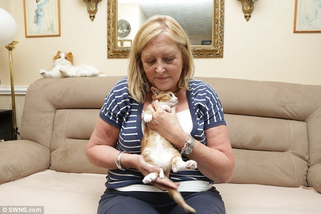 Volunteer Pat Dryden, pictured holding Henrietta the cat, who was born with six legs