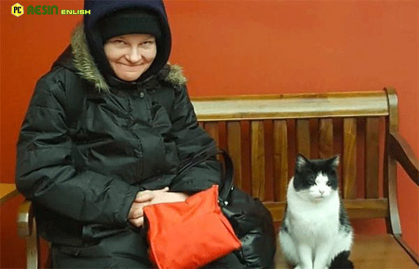 homeless-cat-pussyfooted-into-a-nursing-home-and-got-a-job-2