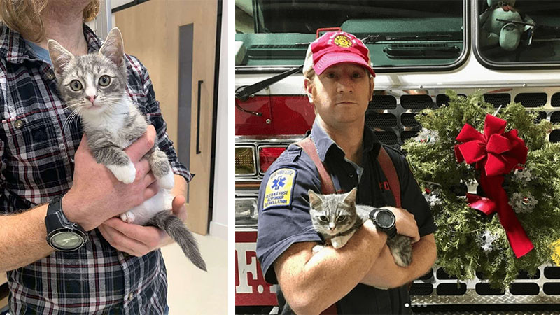 one-lucky-kitten-gets-purrfect-happy-ending-thanks-to-fdny-firefighter