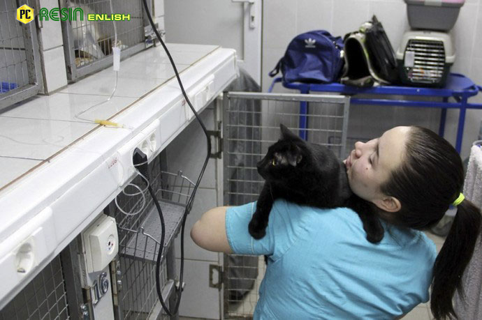 paralyzed-cat-drags-himself-around-a-vet-clinic-to-cuddle-sick-dogs-6