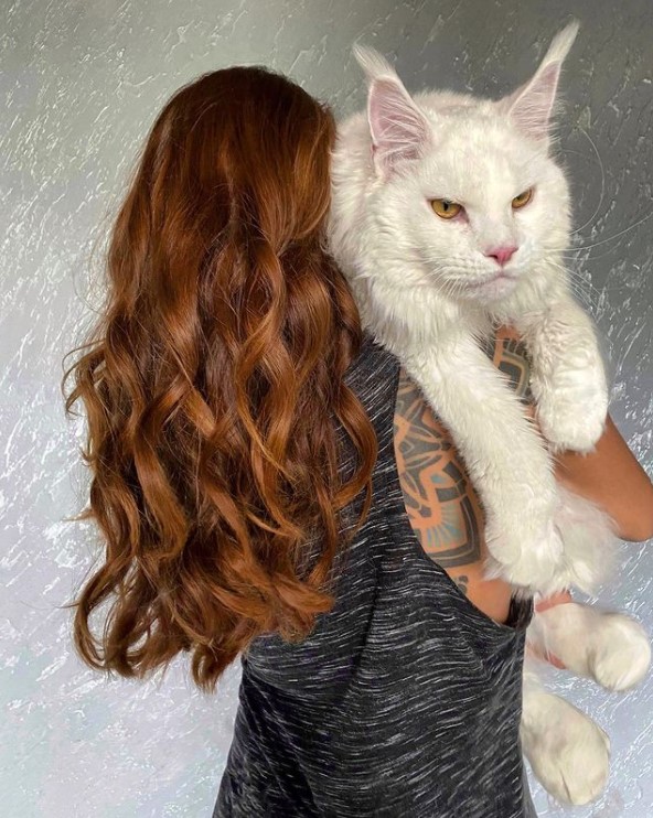 the back of a woman named yuliya minina who is holding her large white cat named kefir who is facing the camera